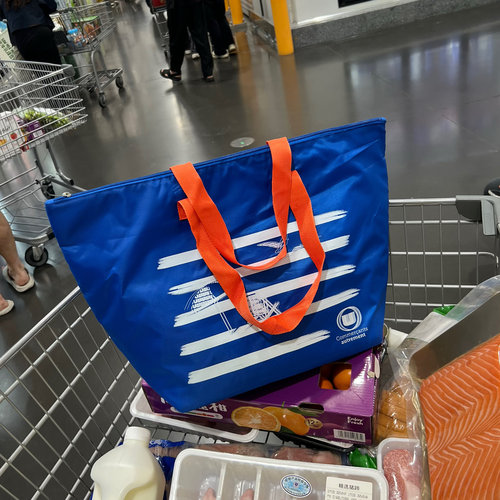 大容量手提保温购物袋野餐收纳袋