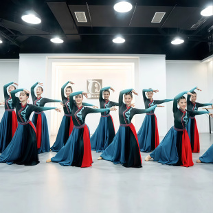 蒙古舞蹈演出服装现代民族风广场舞少数民族套装蒙古舞蹈服女鸿雁