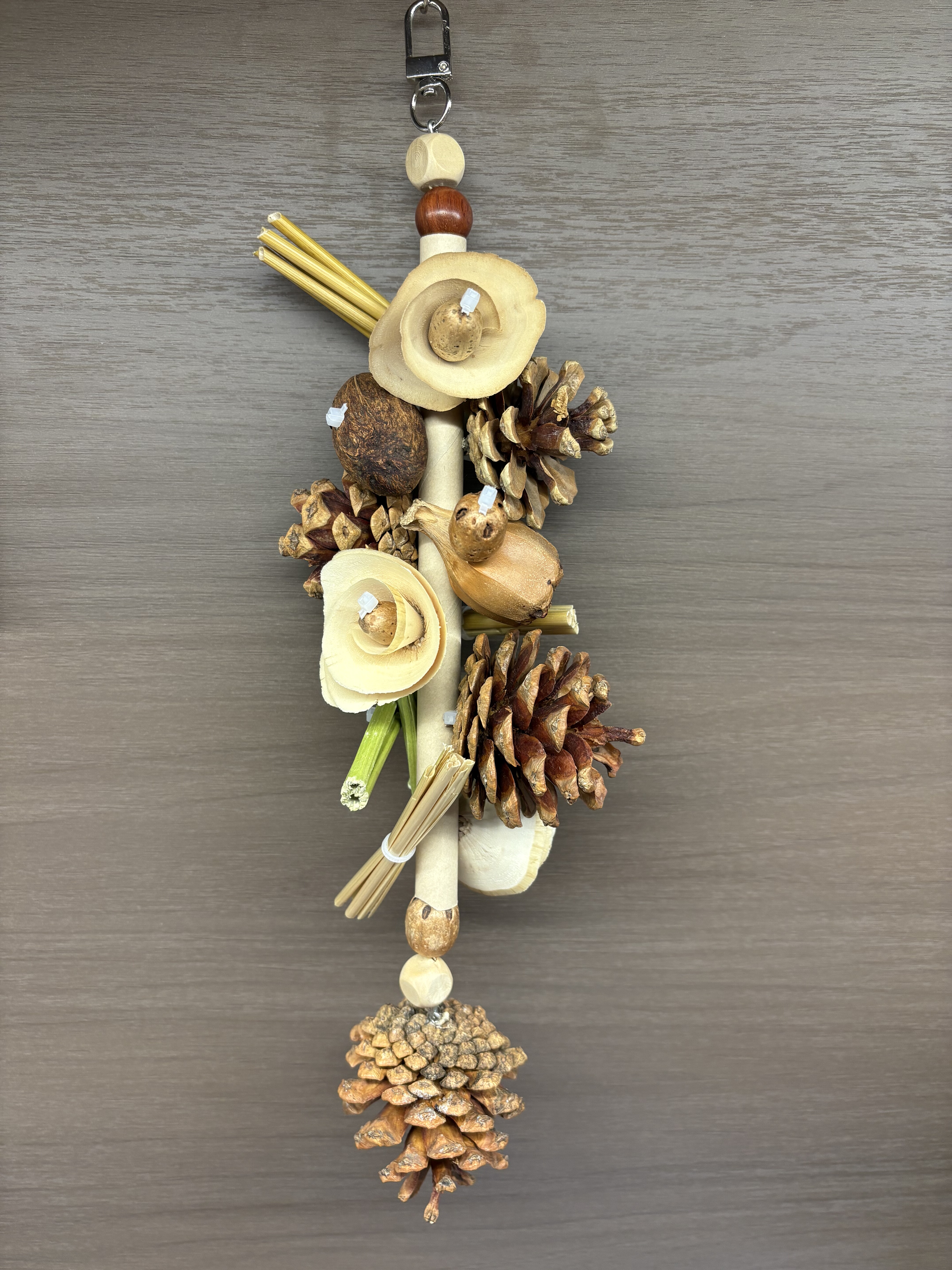 【我的可爱鹦鹉】鹦鹉啃咬玩具咬串磨牙解闷松果鸟笼装饰挂件,宠物/宠物食品及用品,鸟玩具,淘宝优惠券,粉丝福利购,淘宝优惠卷