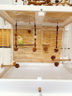 【我的可爱鹦鹉】鹦鹉玩具鸟笼装饰挂件新中式美学风6件套