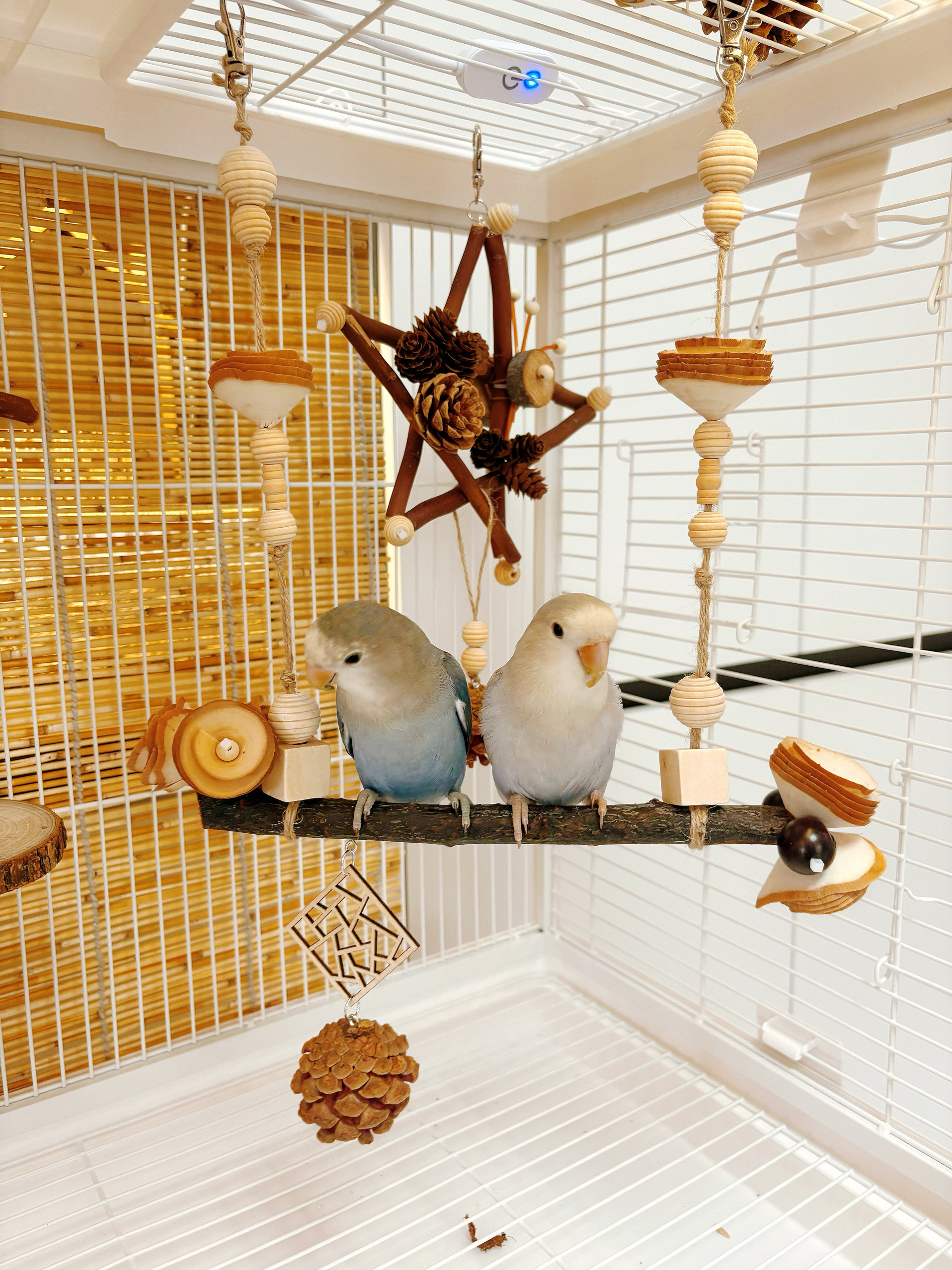 【我的可爱鹦鹉】鹦鹉啃咬玩具咬串磨牙解闷松果坚鸟笼装饰秋千