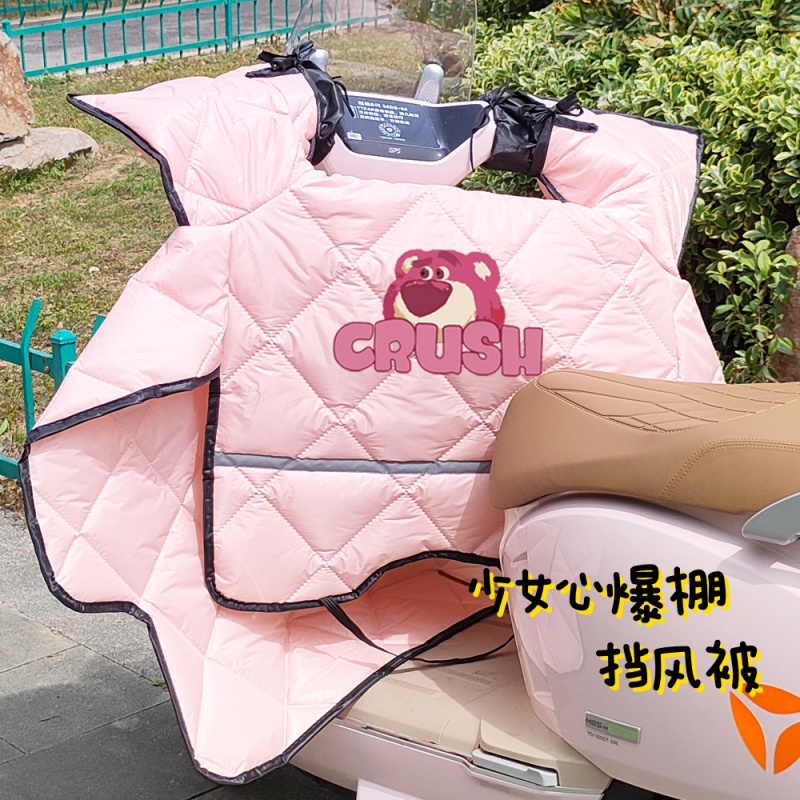 少女心电动车挡风被四季通用挡雨