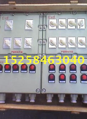 防爆配电箱BXM51-12K防爆照明开关箱12回路电源控制箱IIBT4防爆箱