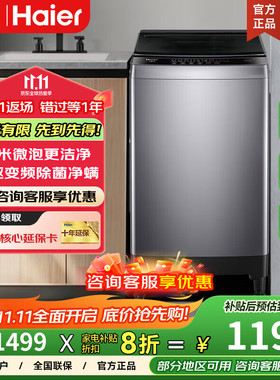 Haier/海尔 XQB120-BA20A0波轮洗衣机全自动12KG一级能效直驱变频