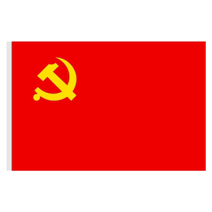 党旗国旗2号3号4号5号小党旗串旗吊旗五星红旗旗子挂旗彩旗卖场国庆装饰国旗手摇党旗会议室办公室党旗
