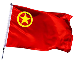中国共青团团旗1号2号3号4号5号定做大号手持红旗装饰户外定制纳米防水室内壁挂三号标准手摇旗帜192*128厘米