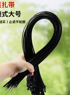 黑色自锁尼龙扎带5*650mm工业捆绑线缆理线固定束线带捆榴莲