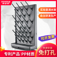 希诗顿塑料PP滴水架 实验室 化验室 医院试剂架 器皿沥水架免打孔