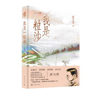著官方正版 苏大宝 艺术人物自传传记作品书籍沙画版 平凡 从北漂到开创中国沙画到春晚奥运丝路火星 世界 我是一粒沙