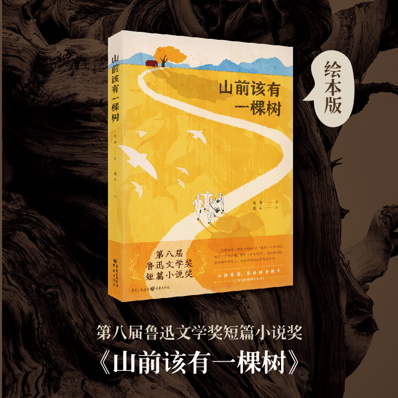 一个关于教育、社会和文化的感人故事