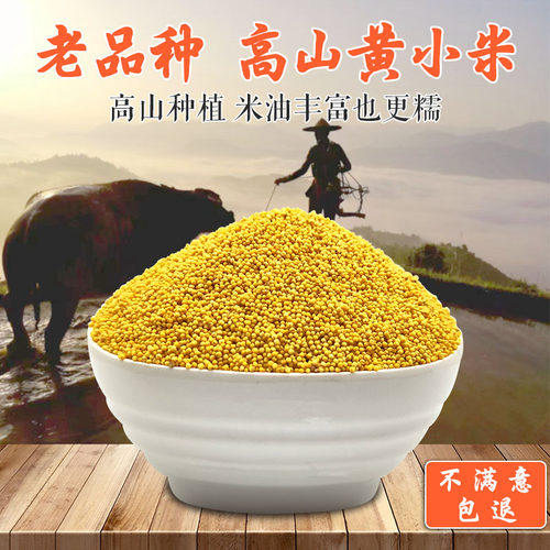 高山黄小米更糯米油丰富