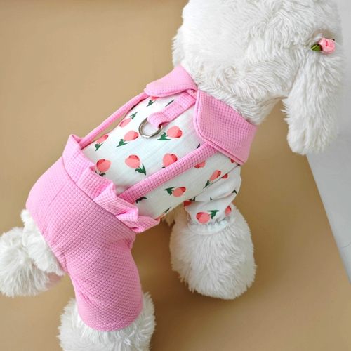 宠物狗狗衣服春夏装小型泰迪比熊约克夏可牵引四脚背带裤可爱萌萌