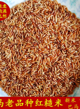 红糙米25年新米富硒胚芽500g 红米脱壳带皮糙米五谷杂粮巴马特产