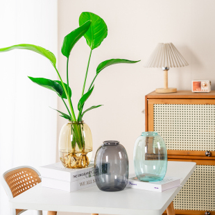 花瓶摆件客厅插画塑料轻奢高级感透明水养水培鲜花玫瑰天堂鸟窄口