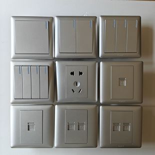 TCL罗格朗开关插座美点银色五孔一开二开三开四开单控双控电脑