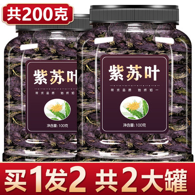 干紫苏叶中药新鲜可食用紫苏叶茶烤肉去腥子苏苗籽打粉泡澡泡脚