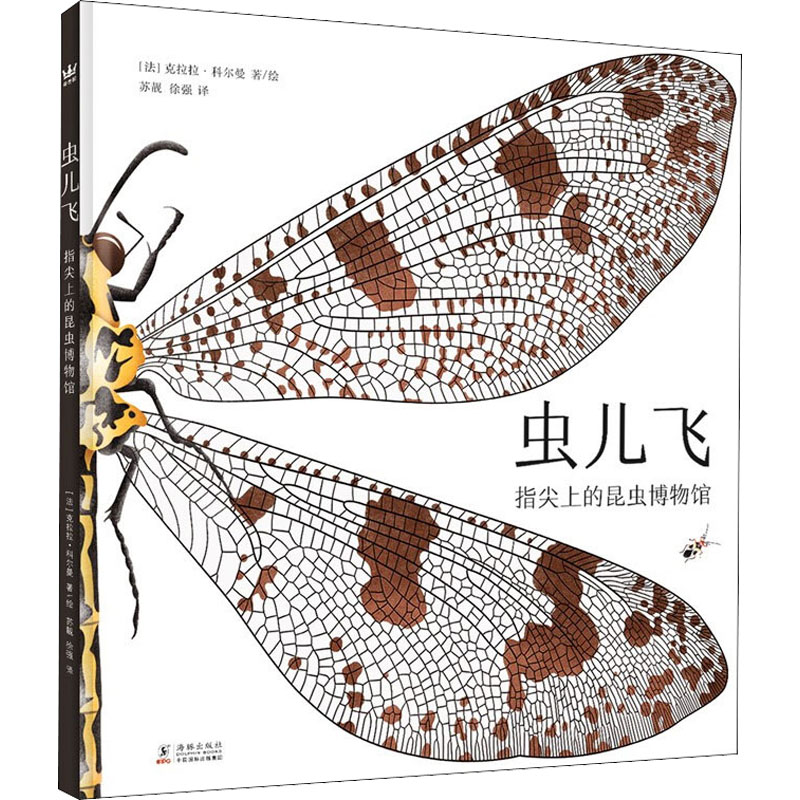 虫儿飞:指尖上的昆虫博物馆昆虫科普绘本图画翻翻书3岁以上立体图画书亲密接触11大目200余种稀奇古怪的虫虫奇想国童书科普百科