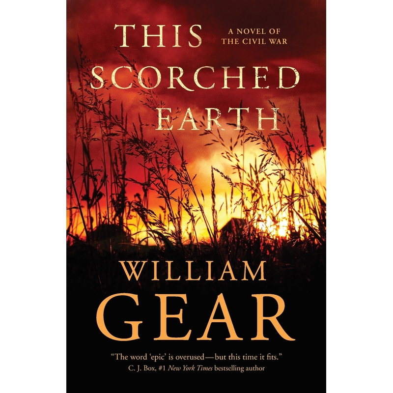 This Scorched Earth 博库网