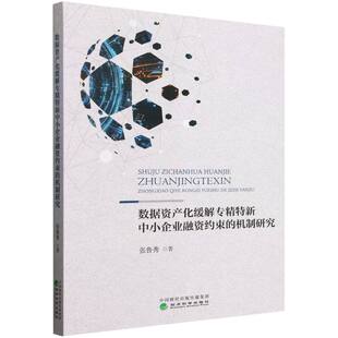数据资产化缓解专精特新中小企业融资约束 博库网 机制研究
