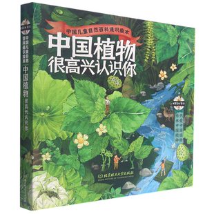 中国植物很高兴认识你全4册中国儿童自然百科通识绘本5-12岁儿童科普启蒙绘本 春夏秋冬图鉴 地理乡土动物生物知识科普启蒙书籍