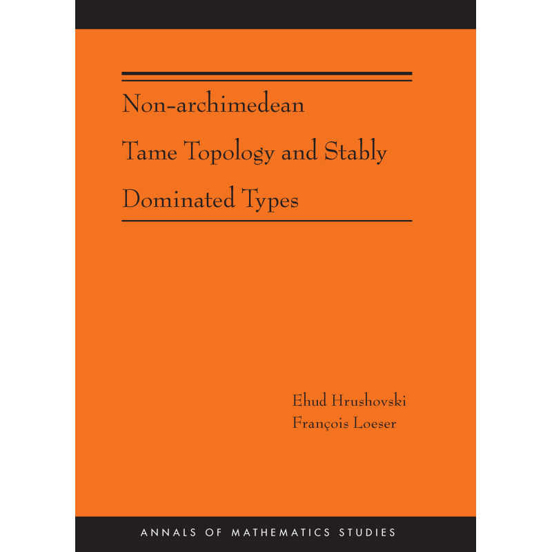 Non-Archimedean Tame Topology and Stably Dominated Types (AM