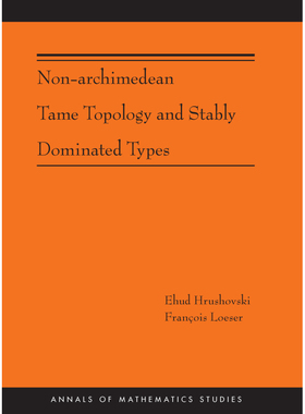 Non-Archimedean Tame Topology and Stably Dominated Types (AM