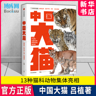 社 dk猫咪图鉴猫百科全书猫科生物图鉴猫科动物图鉴中信出版 地理科普读物 中国大猫 新华书店 吕植著中国 博库旗舰店