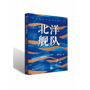 甲午战争与近代中国丛书：北洋舰队 博库网