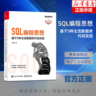 SQL编程思想基于5种主流数据库代码 实现董旭阳SQL基础查询到高级分析数据库设计查询优化sql数据库设计与开发教程书
