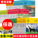 狼王梦正版 沈石溪动物小说全套36册8 荐斑羚飞渡 包邮 12周岁儿童文学读物三四五六年级小学生课外阅读书籍必读书目寒暑假老师推