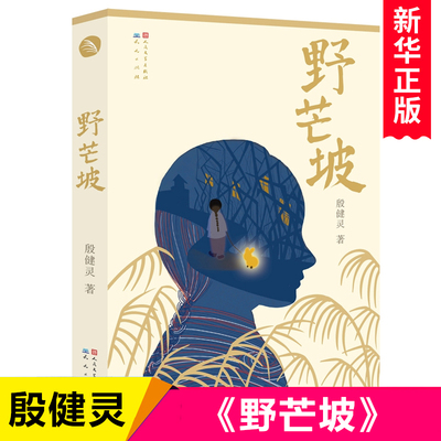 野芒坡 殷健灵儿童文学长篇力作三四五六年级小学生课外书籍男孩成长励志故事 9-12-14岁儿童读物心灵成长小说 寒暑假阅读书单