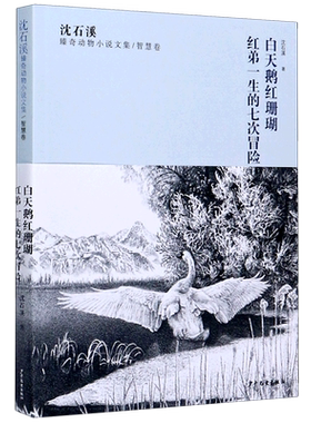 白天鹅红珊瑚红弟一生的七次冒险/沈石溪臻奇动物小说文集生存之旅一部描写白天鹅生活的小说让孩子发现阅读的乐趣