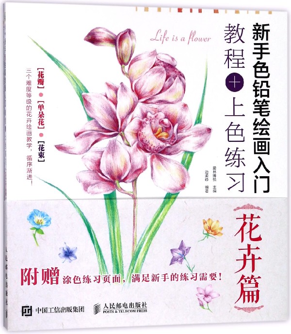 花卉绘画教程书 色铅笔的温情手绘 儿童零基础成人绘画入门 唯美案例