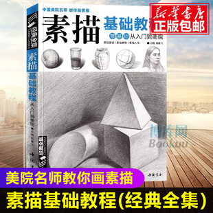 经典 素描零基础初自学入门教程材书籍者铅笔手绘画画册本从单个体石膏几何体成人美术 诀窍临摹范本到精通套人物考级杨建飞 全集