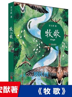 正版 牧歌  董宏猷著 独特的音乐小说 诗体小说6-8-12岁小学生二三四五年级课外阅读读物 儿童文学儿童课外阅读书目 青岛出版社