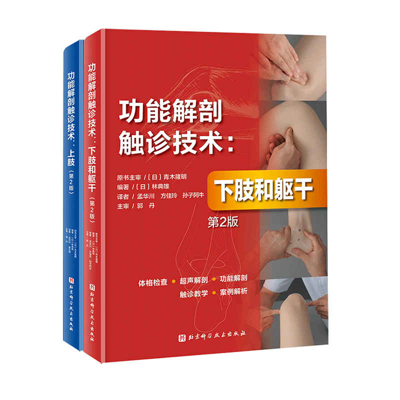 正版功能解剖触诊技术