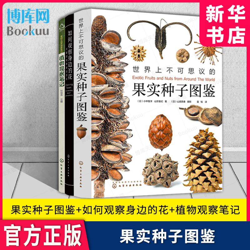 世界上不可思议的果实种子图鉴