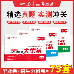 2026新版小升初总复习试卷 一本小学毕业升学考卷大集结 语文数学英语小升初真题试卷小学毕业升学考试模拟卷六年级升学试卷全国版