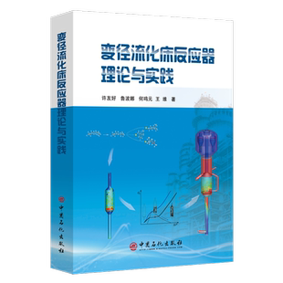 变径流化床反应器理论与实践(精) 官方正版 博库网
