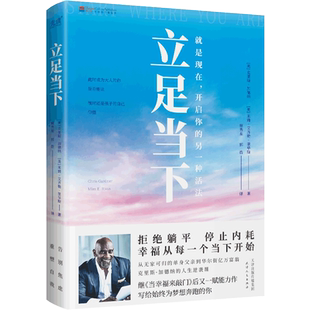 立足当下 《当幸福来敲门》作者、华尔街投资专家写给年轻人的成功实践课。34个关键词+实用进阶工具 博库网