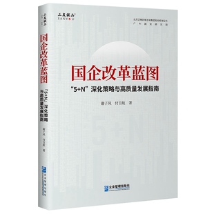 国企改革蓝图:“5+N”深化策略与高质量发展指南 博库网