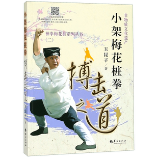 小架梅花桩拳(搏击之道)/神拳梅花桩系列丛书