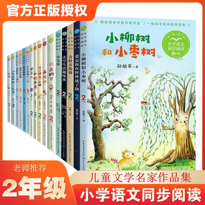 小学语文同步阅读书系彩图2/二年级上下册学期小学生课外阅读书籍必读经典书目彩色的梦蜘蛛开店风娃娃开满鲜花的小路正版