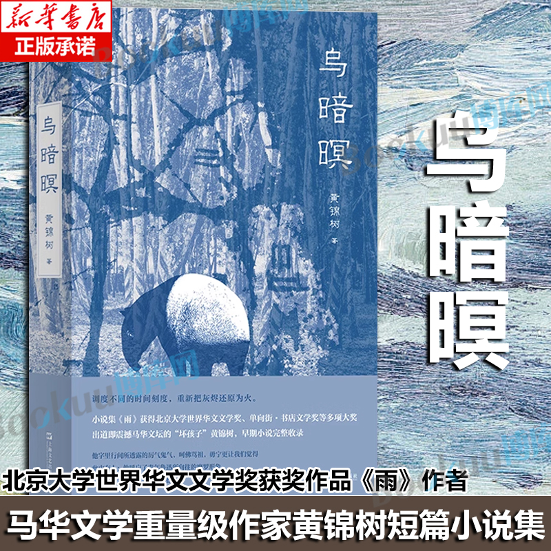 乌暗暝 北京大学世界华文文学奖获奖作品《雨》作者 马华文学重量级作家黄锦树 早期代表作品全收 魔幻现实主义长篇小说 博库网
