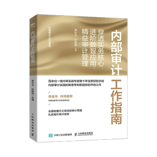 内部审计工作指南 穿透实务核心进阶数智应用精益审计管理 郭长水纪新伟 内审财务会计财务管理内部审计实施策略实战 人民邮电