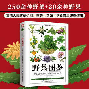 别名 特征 功效 野菜图鉴250余种野菜 安全食 高清大图方便识别 饮食宜忌速查 博库网 20余种野果
