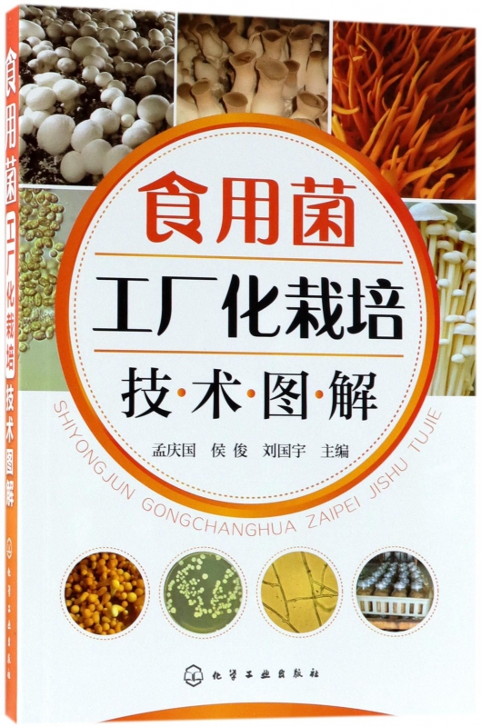 食用菌工厂化栽培技术图解 双孢菇金针菇蛹虫草工厂化生产菌种制作栽培病虫害防治保鲜加工技术书籍 机械自动化设备菌种发酵技术书