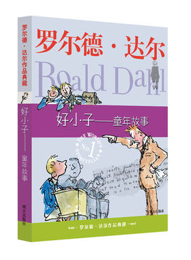 好小子童年故事 罗尔德达尔作品典藏儿童文学 罗尔德达尔的作品书单本 少儿经典趣味童话 小学生课外书三四五六年级校园小说