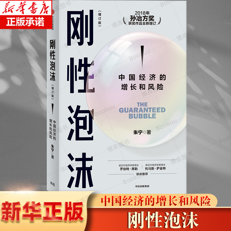 刚性泡沫修订版朱宁理解和防范系统性金融风险社会科学经济理论类书籍中信出版社中国经济的增长和风险-封面