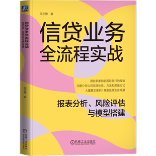 信贷业务全流程实战：报表分析、风险评估与模型搭建 完整、系统的介绍公司信贷思维框架和方法 分析金融投资管理财务书籍